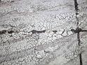 Hochwasser (324)
